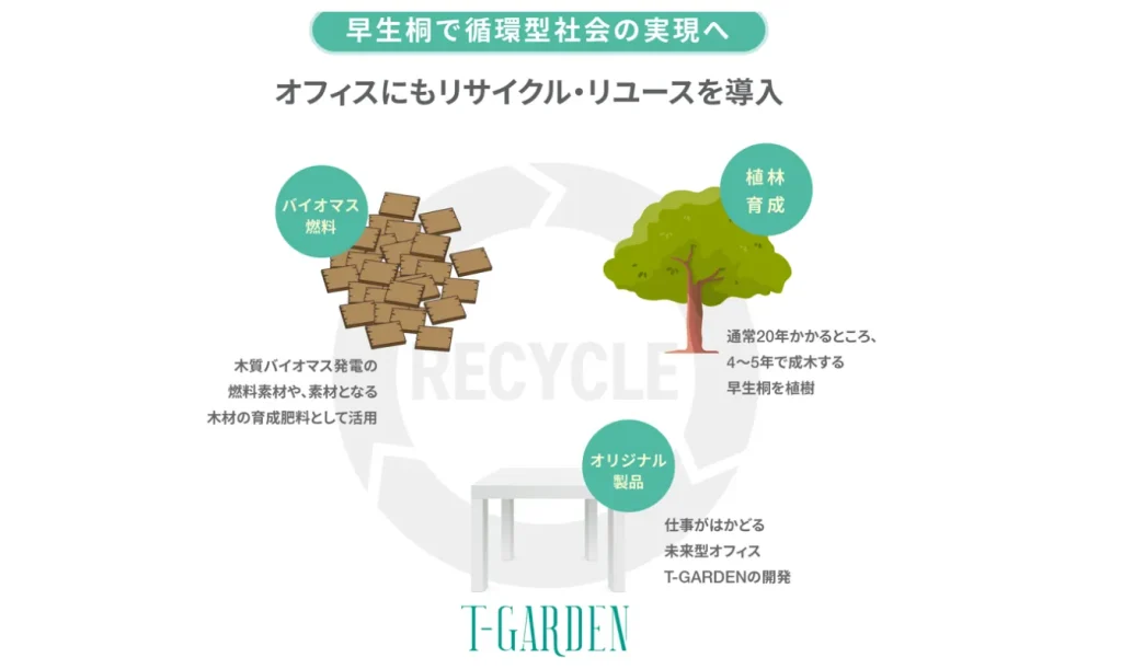 早生桐を活用した家具